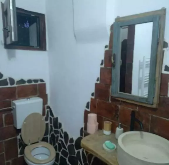 ペンション Casa Tradițională Transilvăneana