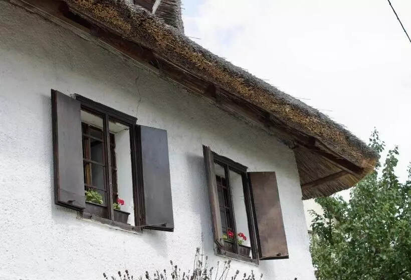 Majatalo Sasfészek Pihenő