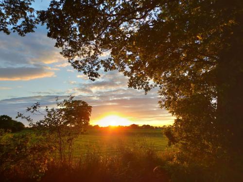 Bed and Breakfast Betsie`s Place