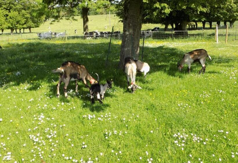 ベッドアンドブレックファースト L Ostrale