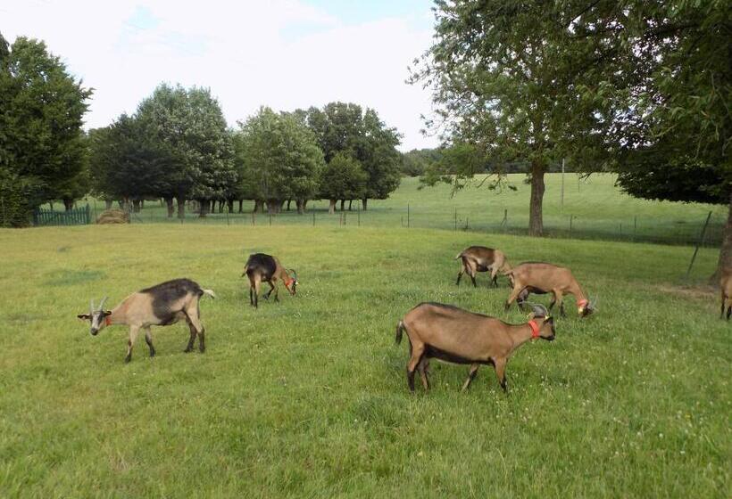 ベッドアンドブレックファースト L Ostrale