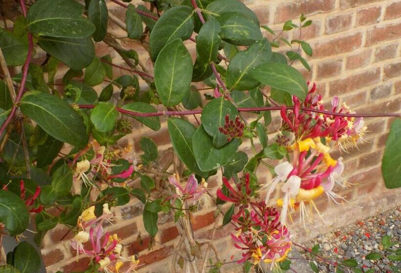 住宿加早餐 L Ostrale