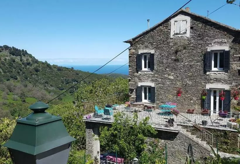 English Club In Corsica B&b