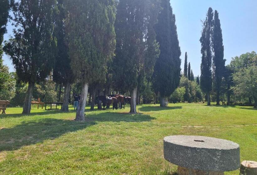 酒店 Agriturismo Il Paradiso Di Berignone