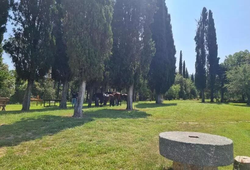 ホテル Agriturismo Il Paradiso Di Berignone