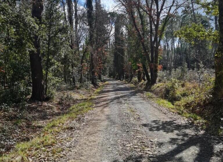 酒店 Agriturismo Il Paradiso Di Berignone