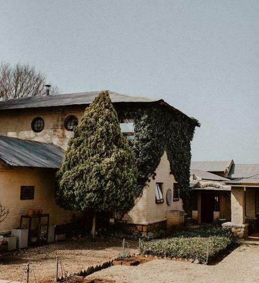 Pension African Leaves Trout Lodge