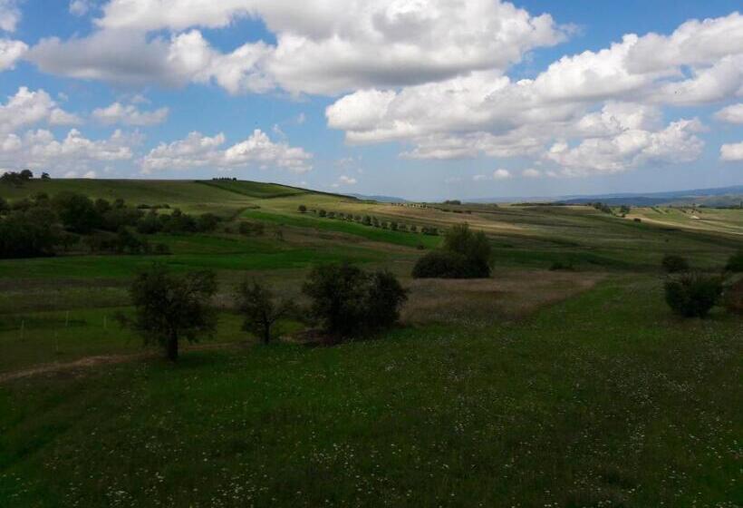 פנסיון Casa Delureni