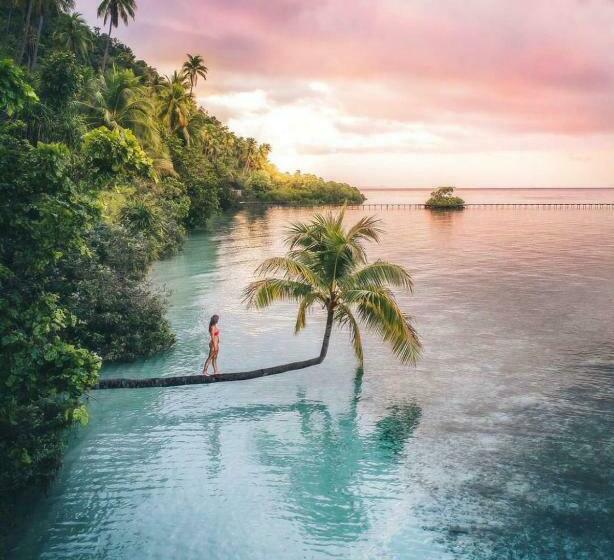 פנסיון Nyande Raja Ampat