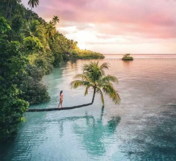 Majatalo Nyande Raja Ampat