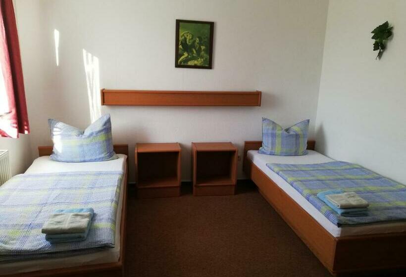 Пансион Zielitzer Hof