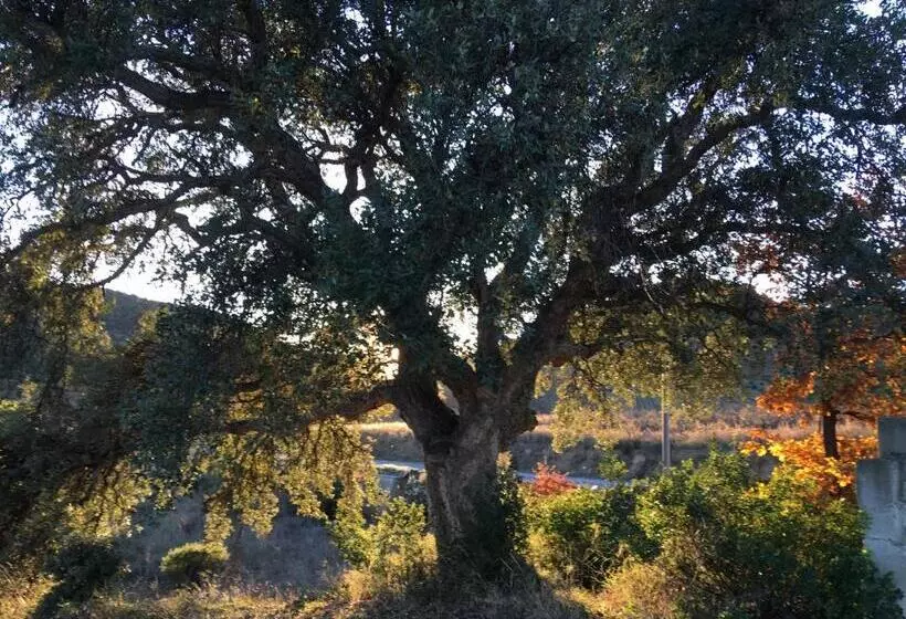 Aamiaismajoitus (B&B) Coeur De Nature