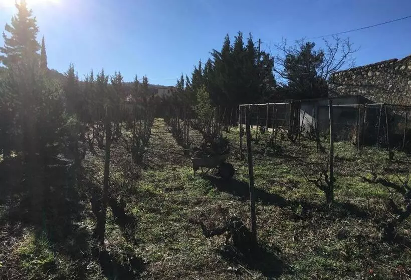 Aamiaismajoitus (B&B) Coeur De Nature