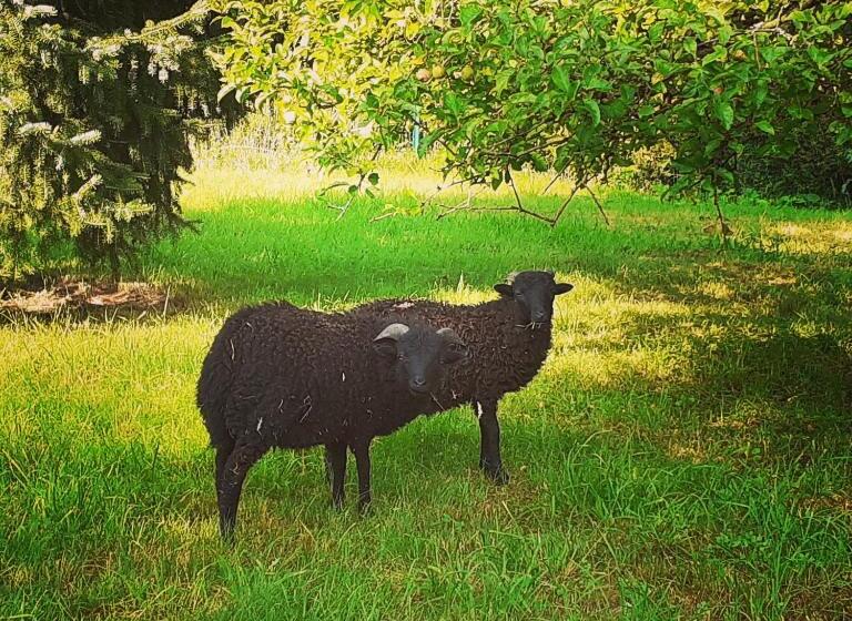 Bed and Breakfast Manoir De Camblain