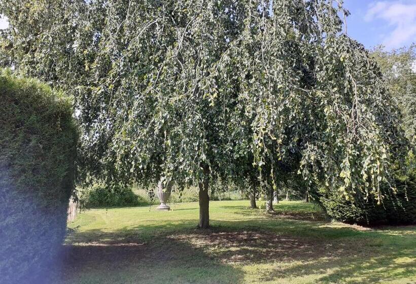 Bed and Breakfast Manoir De Camblain