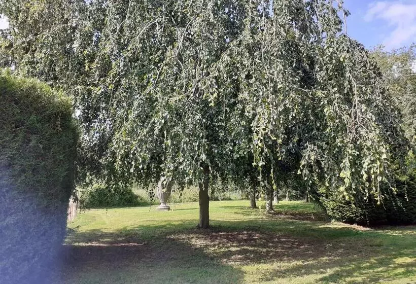 Aamiaismajoitus (B&B) Manoir De Camblain