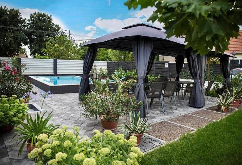 ベッドアンドブレックファースト Vi Li Panzió