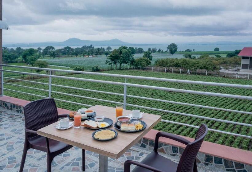 酒店 Escape Stays Le Fromage Cheese Village