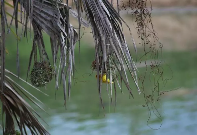 Hotelli Lemara Eco Camp