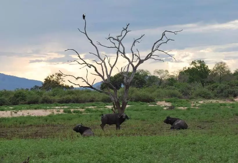 Hotelli Lemara Eco Camp