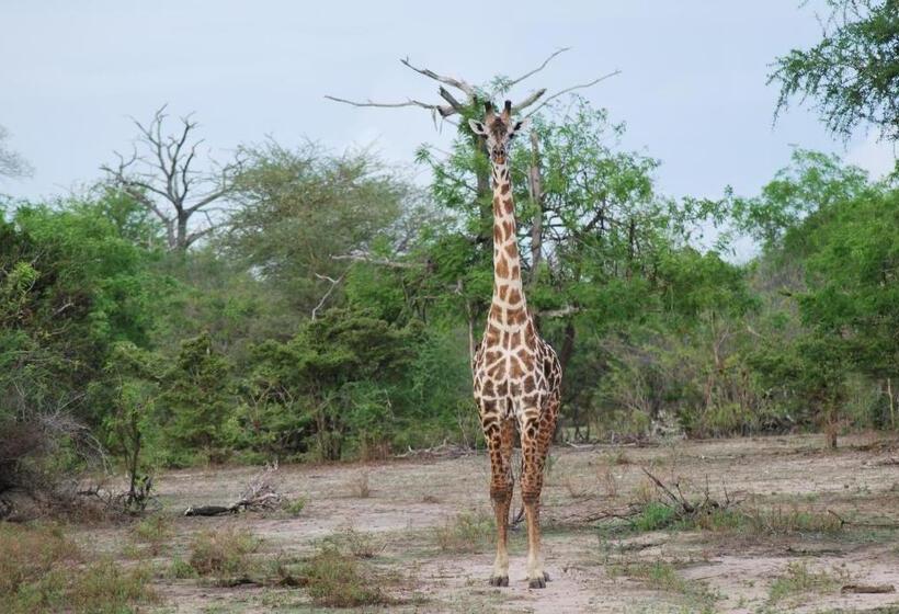 בית מלון כפרי Lemara Eco Camp