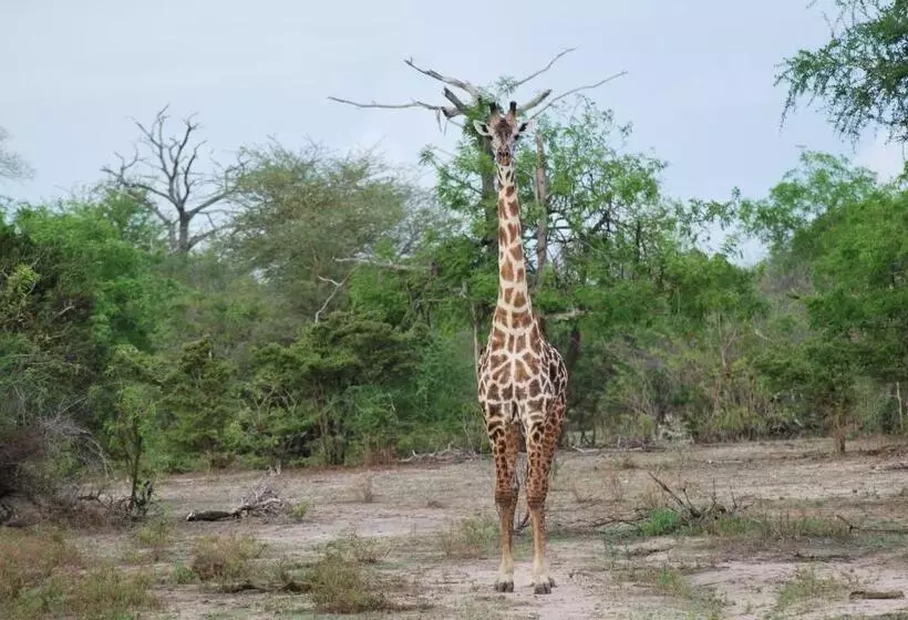 Hotelli Lemara Eco Camp