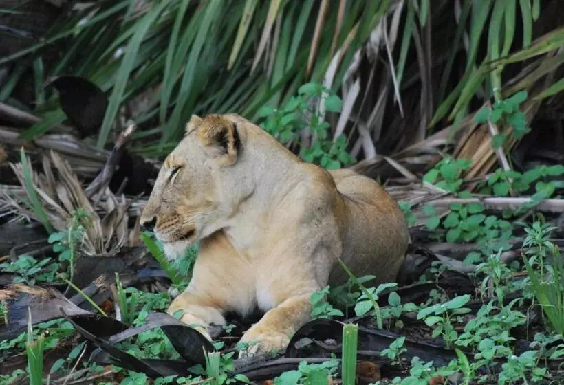 Hotelli Lemara Eco Camp