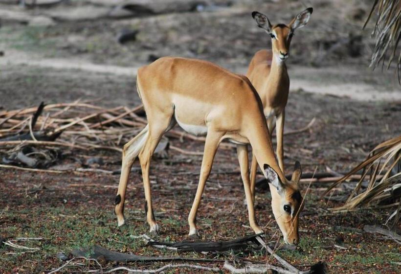 בית מלון כפרי Lemara Eco Camp