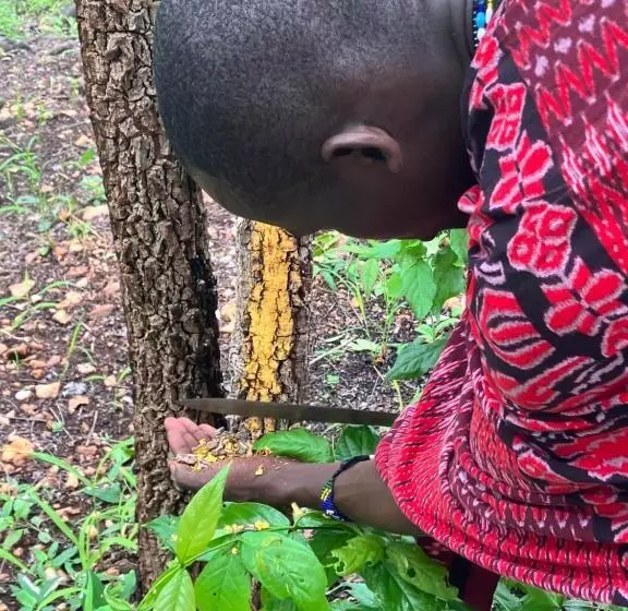 Hotelli Lemara Eco Camp