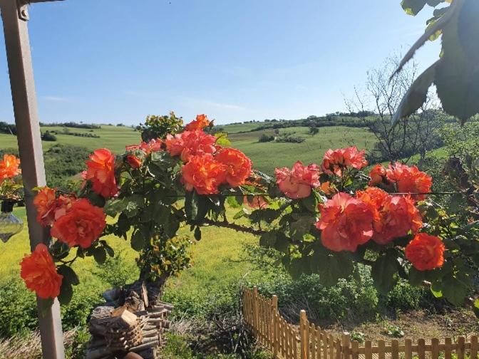 Пансион Casale Il Girasole