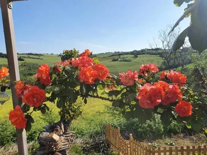 ペンション Casale Il Girasole