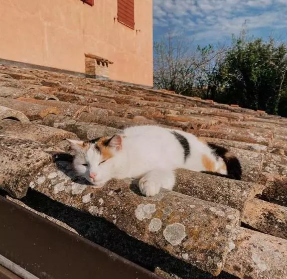 ペンション Casale Il Girasole