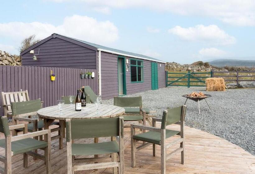 بنسيون Into The Burren