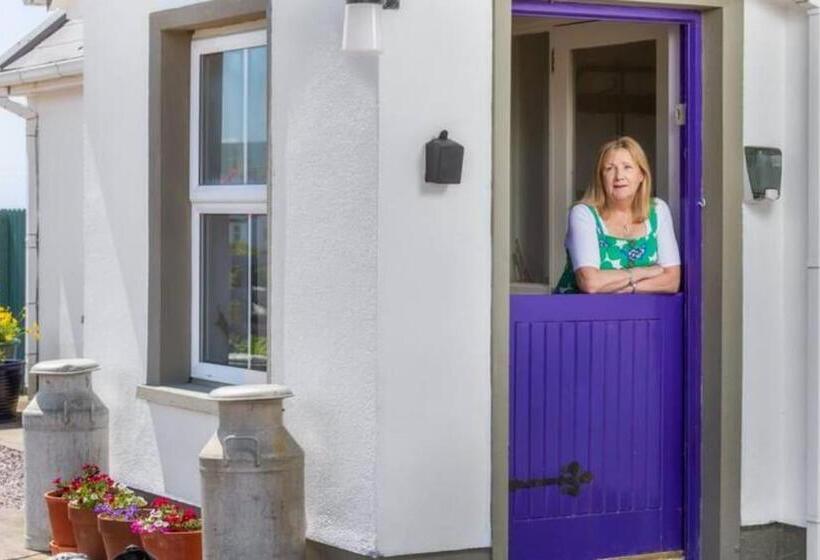 بنسيون Into The Burren