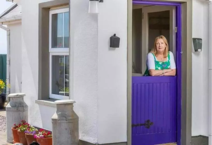 ペンション Into The Burren