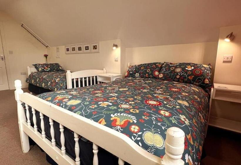 بنسيون Into The Burren