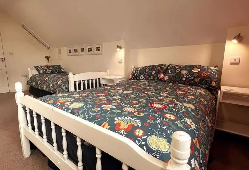 ペンション Into The Burren