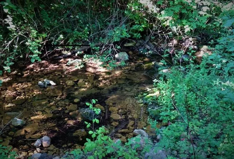 ペンション Les Rêves D Eden Gite Dans Mas Cévenol  Spa Privatif