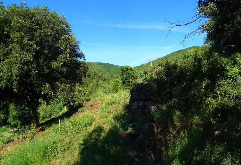 ペンション Les Rêves D Eden Gite Dans Mas Cévenol  Spa Privatif