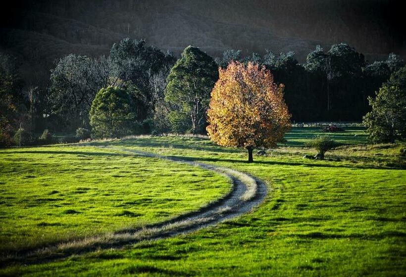 פנסיון Thamarra Cottage