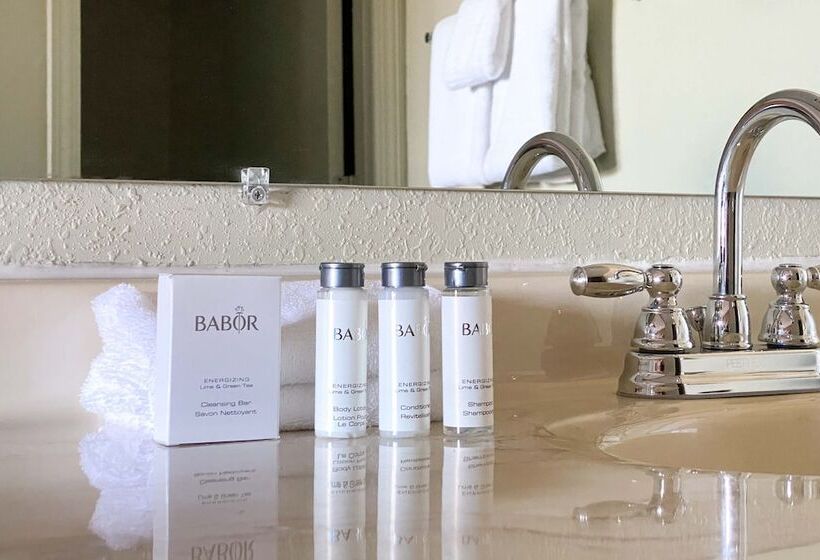 The Benson Motel Benson, Mn Us 12 Hwy