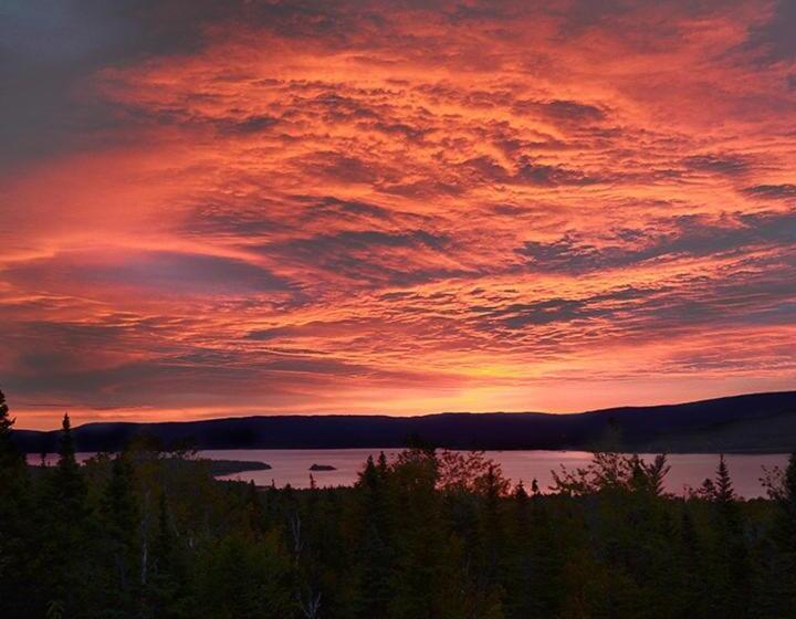 The Thoughtful Dog Bed & Breakfast