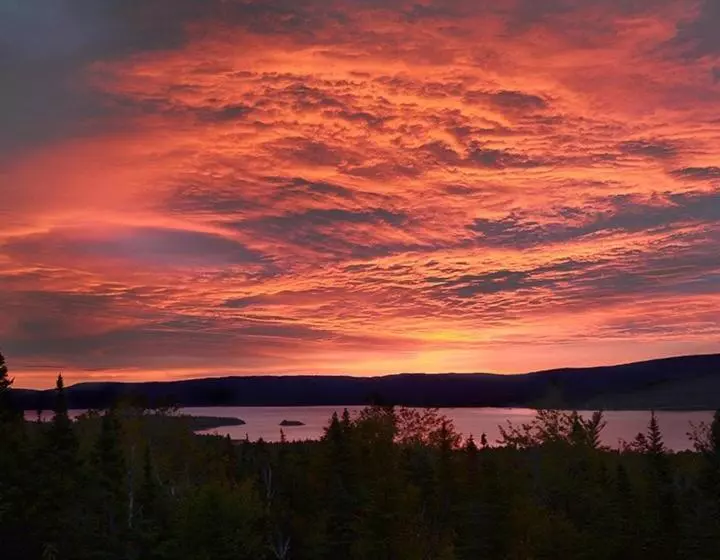 The Thoughtful Dog Bed & Breakfast