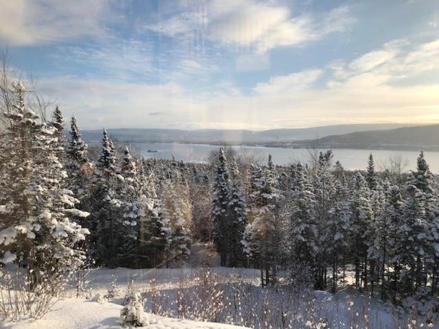 The Thoughtful Dog Bed & Breakfast