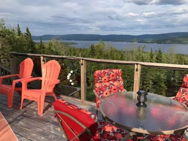 The Thoughtful Dog Bed & Breakfast