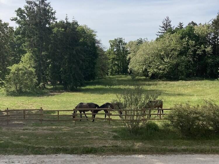 Bed and Breakfast Chateau Tout Y Fault