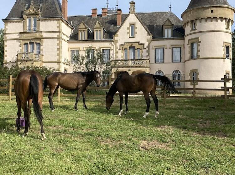 Bed and Breakfast Chateau Tout Y Fault