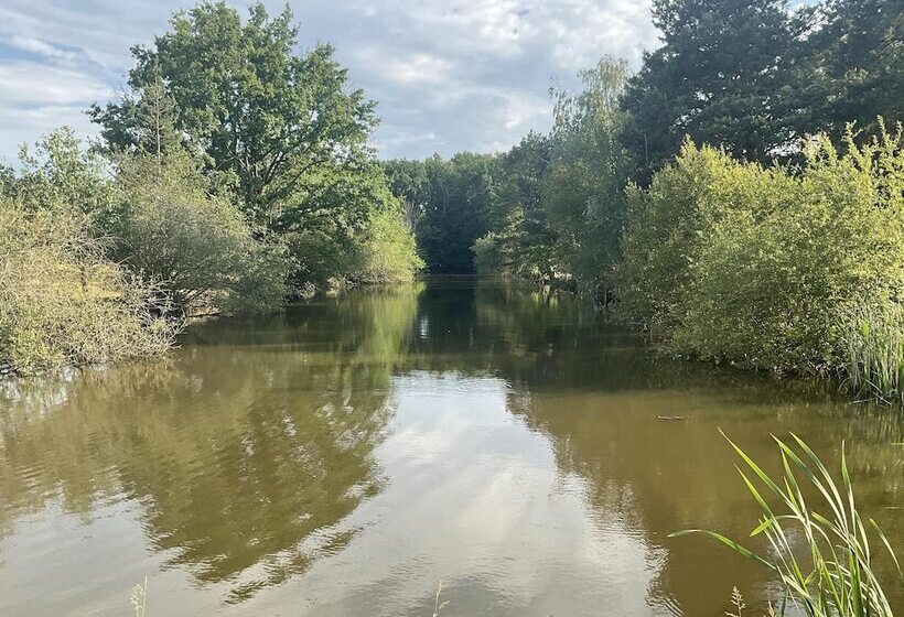 Bed and Breakfast Chateau Tout Y Fault