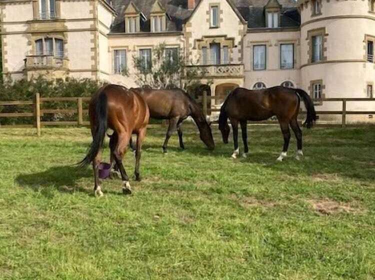 Bed and Breakfast Chateau Tout Y Fault