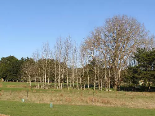 צימר Auberge Woodend